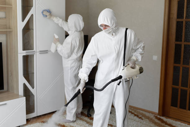24/7 Emergency Odor Removal experts in Bassett, VA