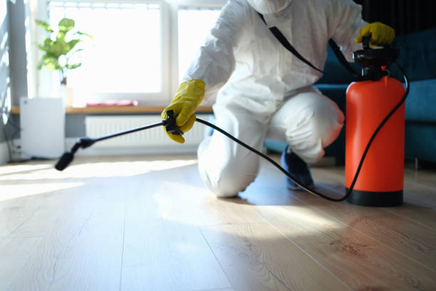 Reliable Odor Removal contractor in Bassett, VA by Trauma Clean Pros